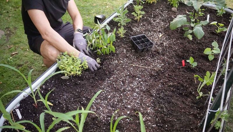 Account for Settling and Mulching
