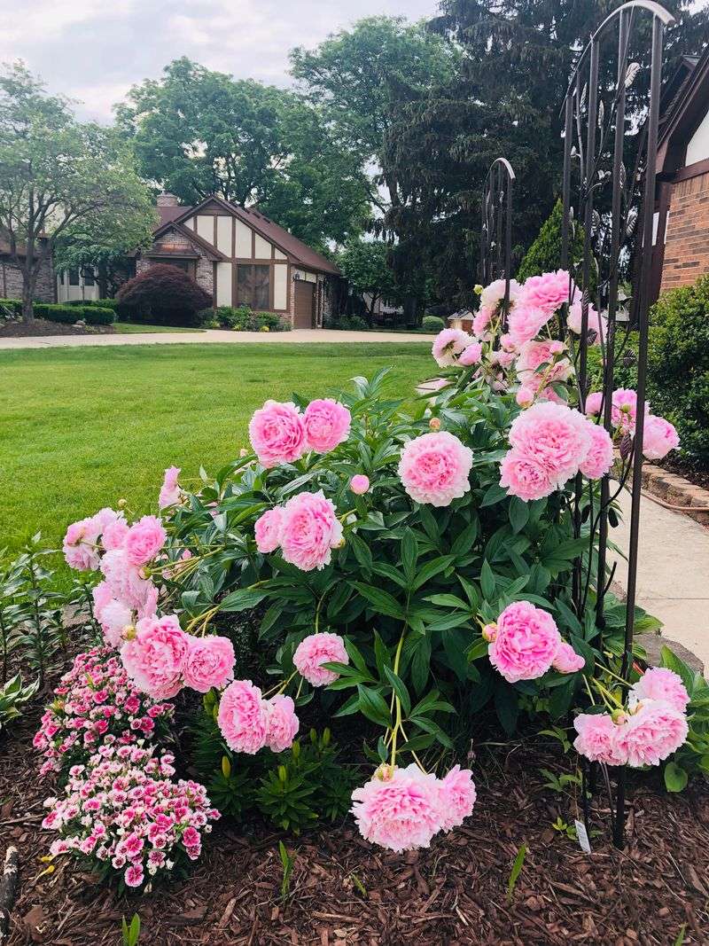 Adjust Watering Practices