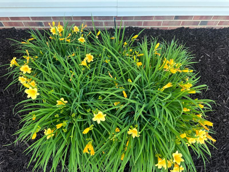 Tackle Entire Stalks