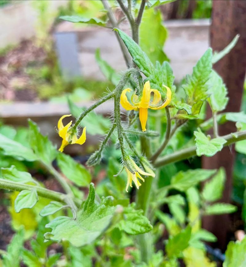 Allows Precise Record-Keeping For Garden Experiments