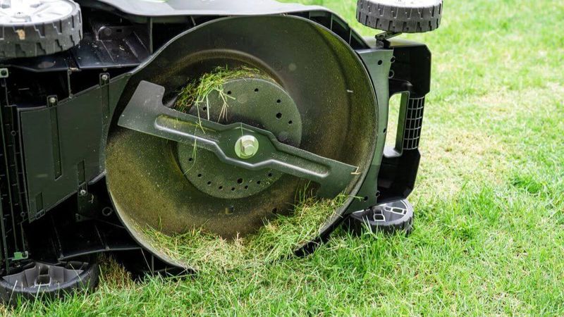 Damages Mower Blades