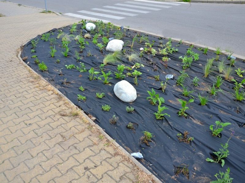 Reflective Mulch Barriers