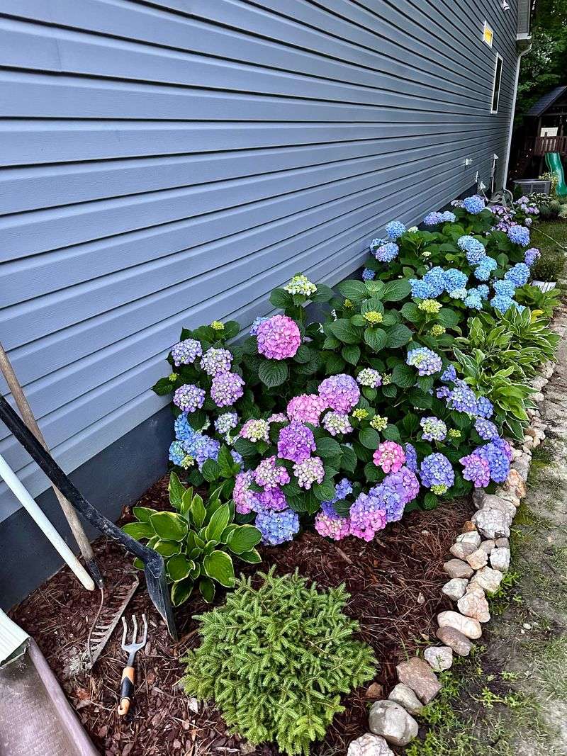 Soil Mounding