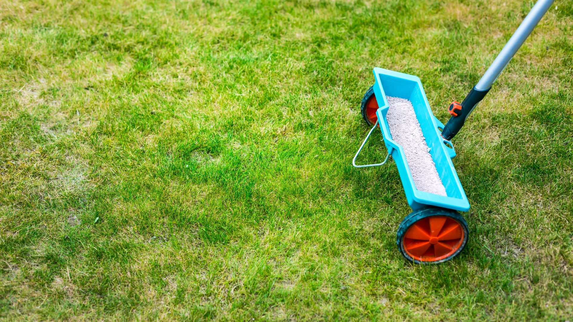 31 Crucial Things You Should Never Do When Fertilizing Your Lawn