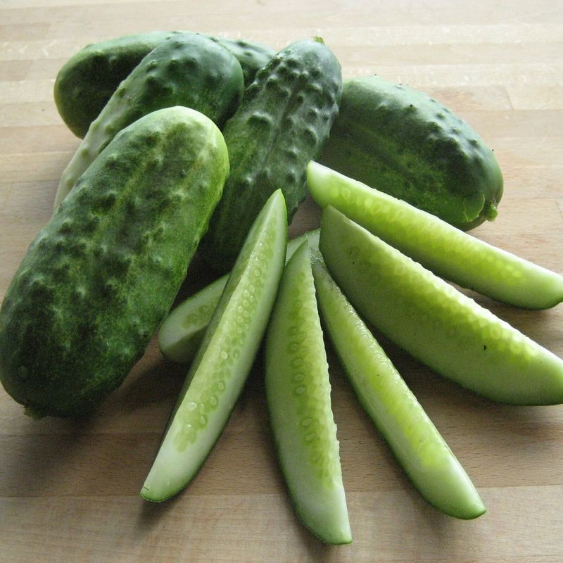 DIY Cucumber Stamps