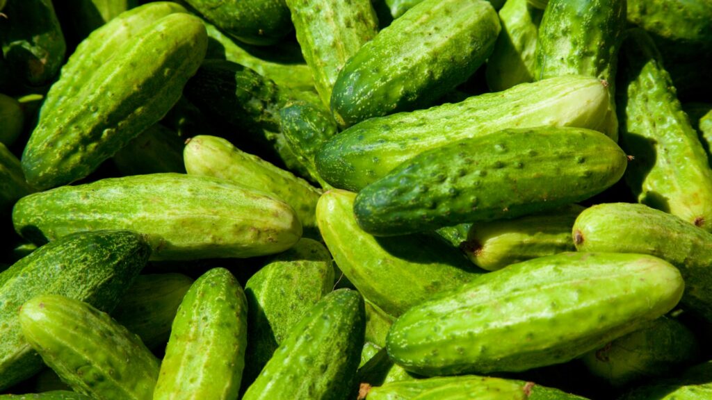 Cucumbers