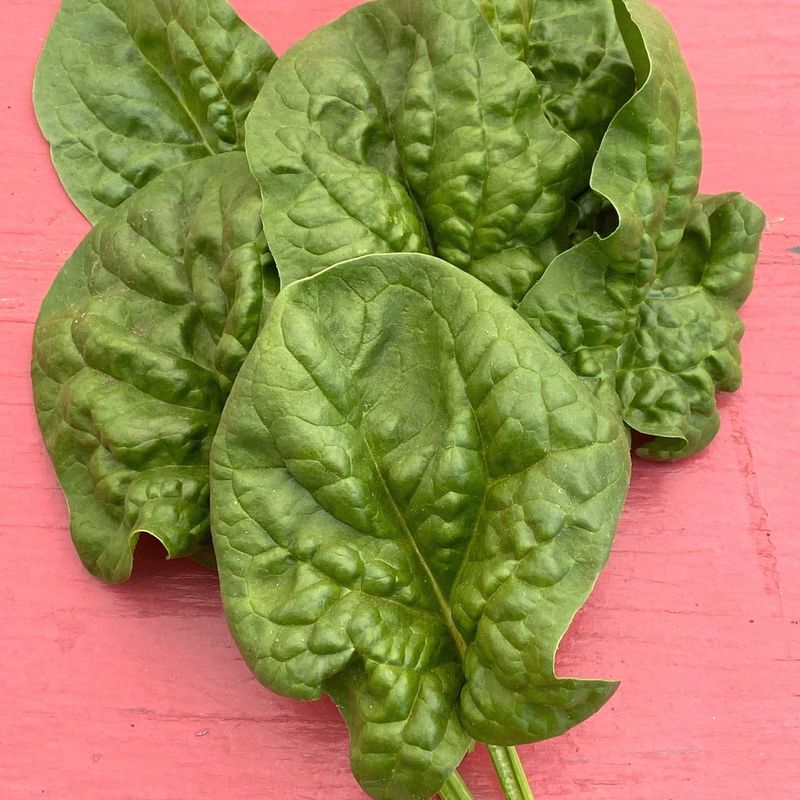 Spinach