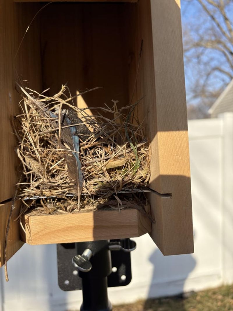 Provide Nesting Materials And Sites