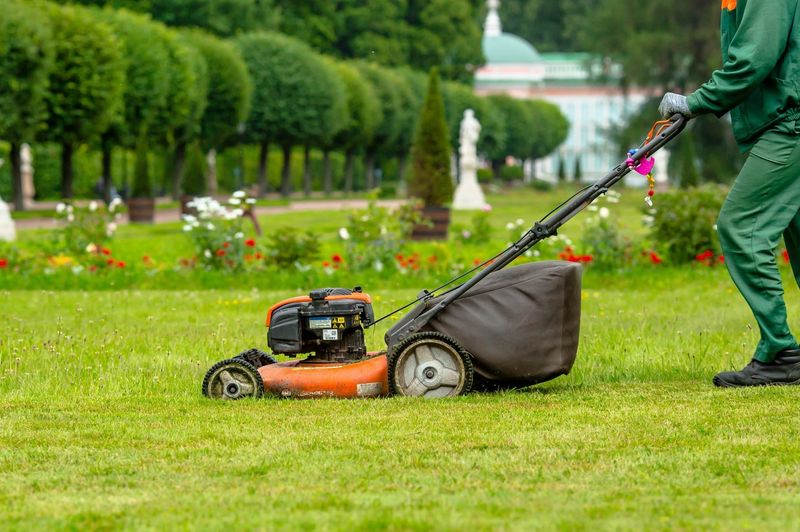 Self-Propelled vs. Push Models