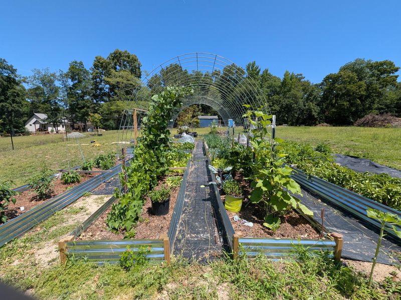 Strategic Crop Rotation