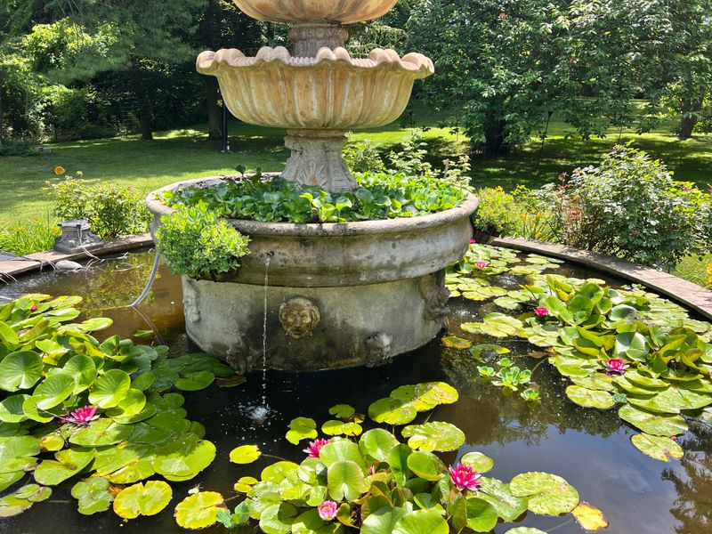 Over-the-Top Water Features