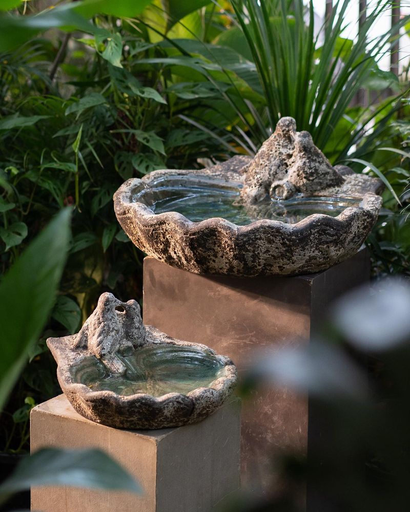 Colorful Birdbaths Attract More Visitors