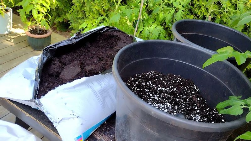 Pre-mixed Specialty Soils vs. Custom Blends