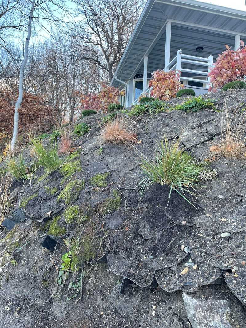 Prevents Erosion On Slopes