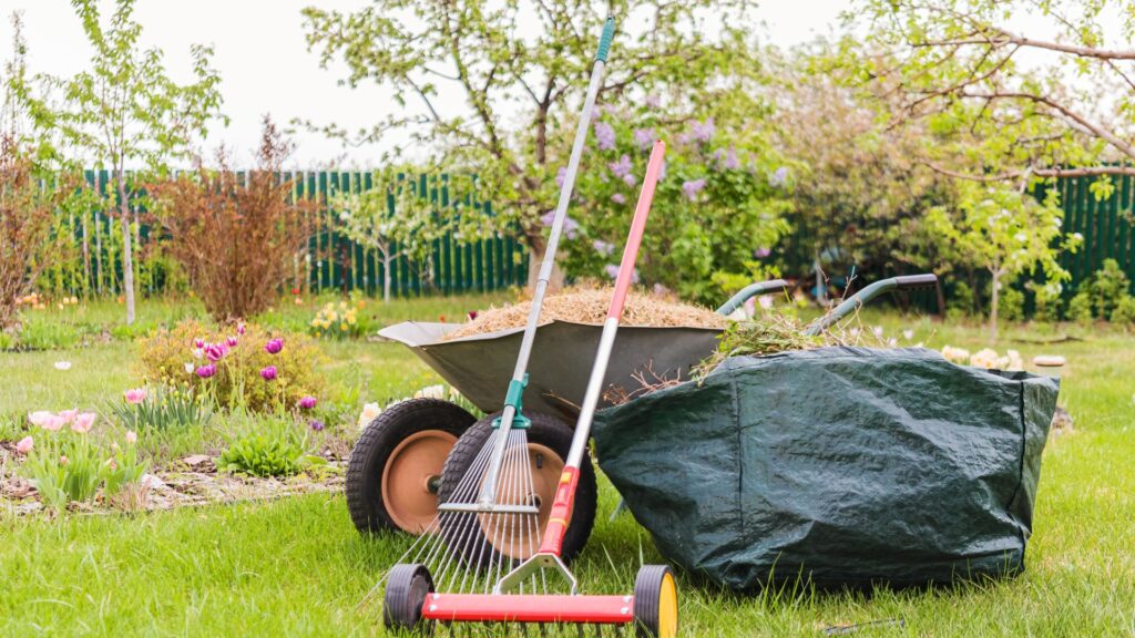 Dethatching lawn