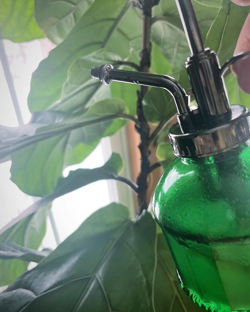 Neem Oil Spray