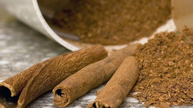 Cinnamon