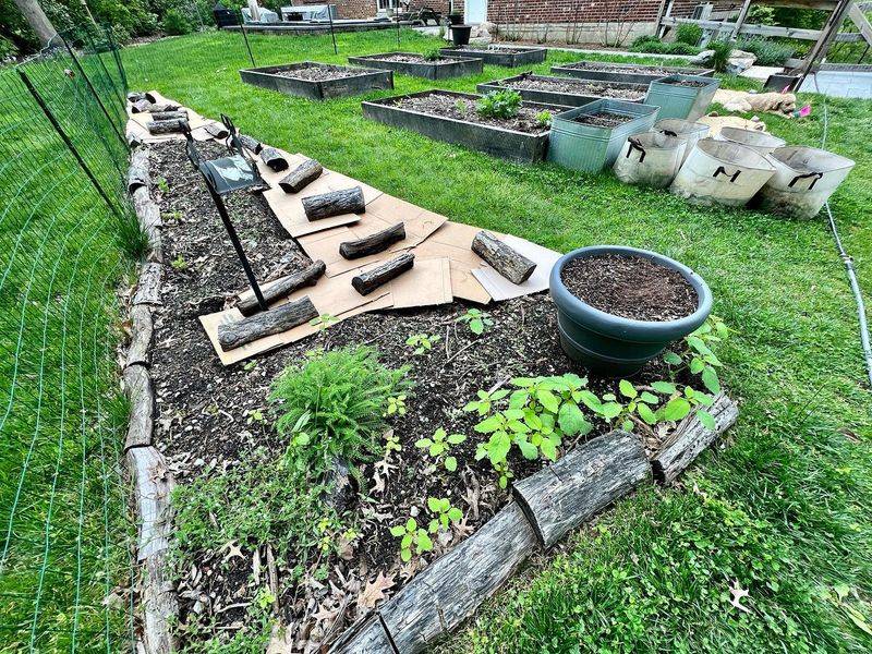 Compost In Place With Sheet Mulching