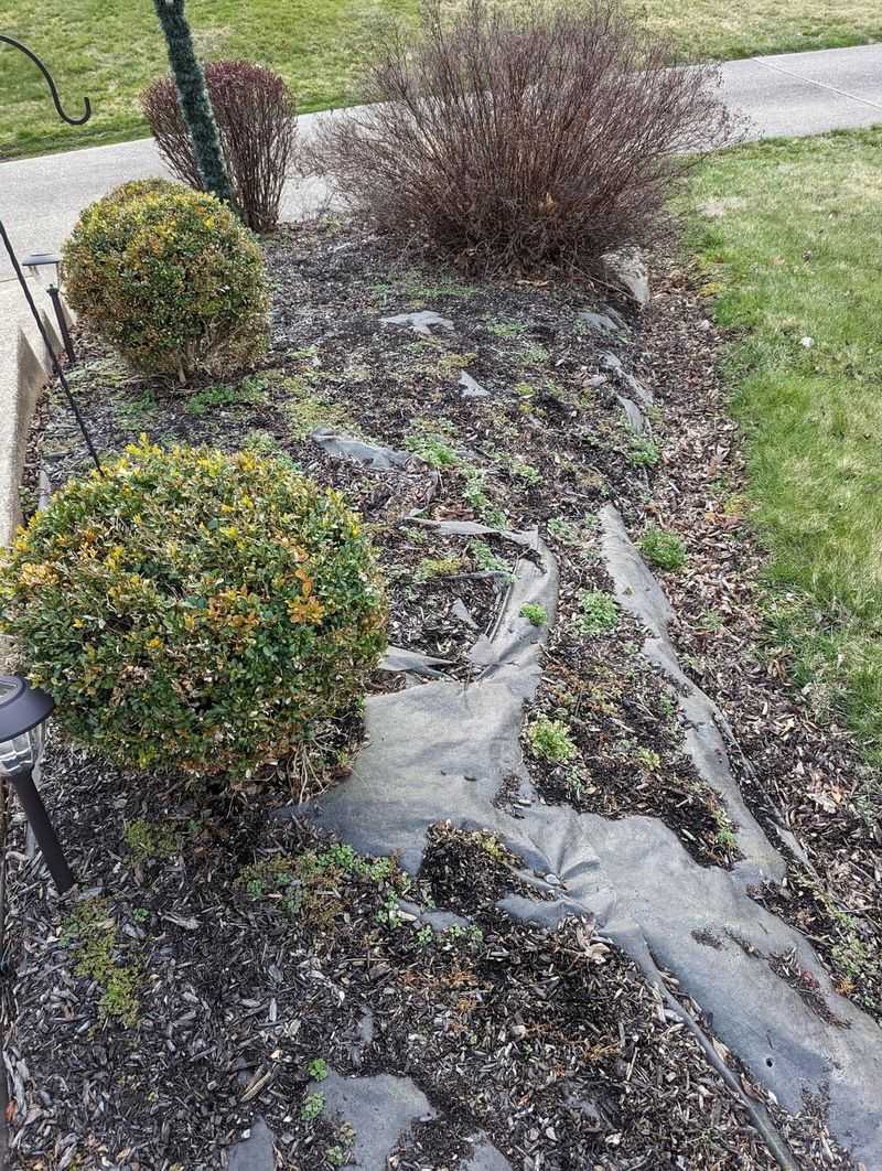 Use Landscape Fabric Strategically