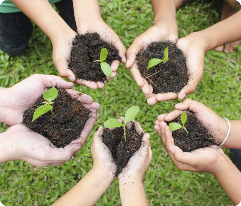 Planting Seeds of Change