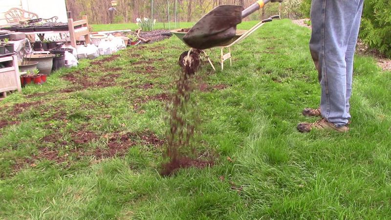 Apply Compost Top-Dressing