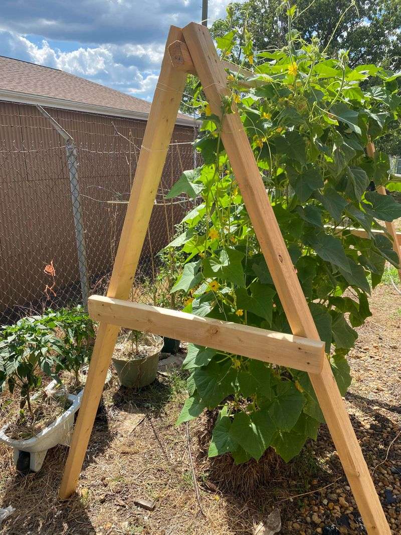 Straw Bale Technique