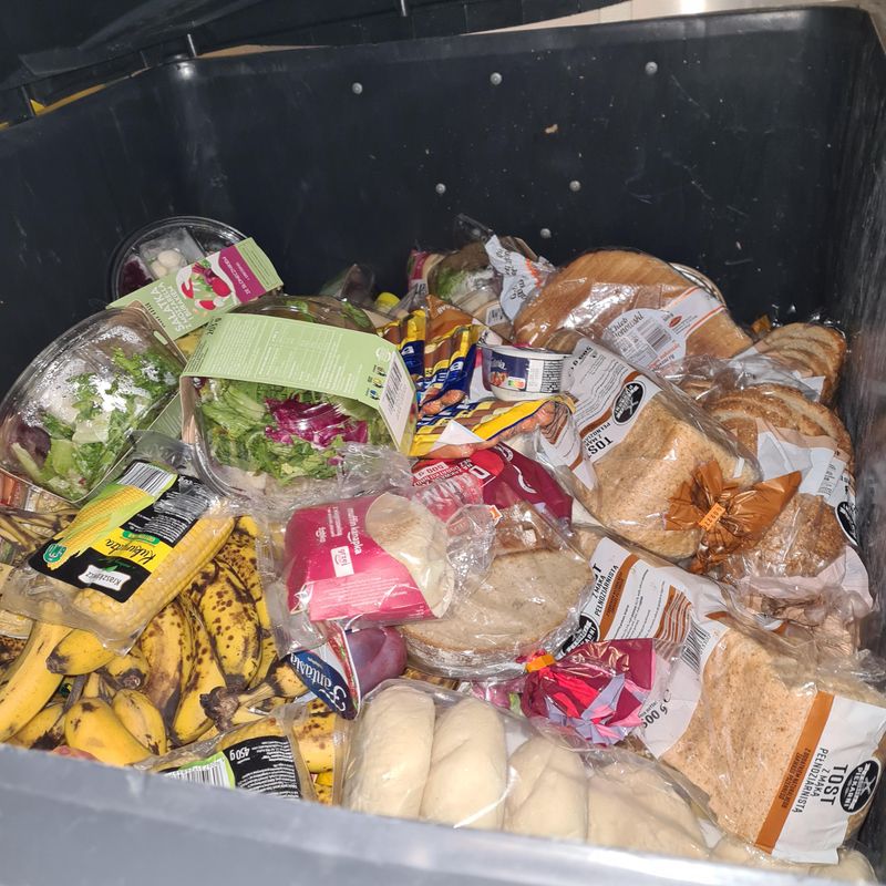 Garbage Odors
