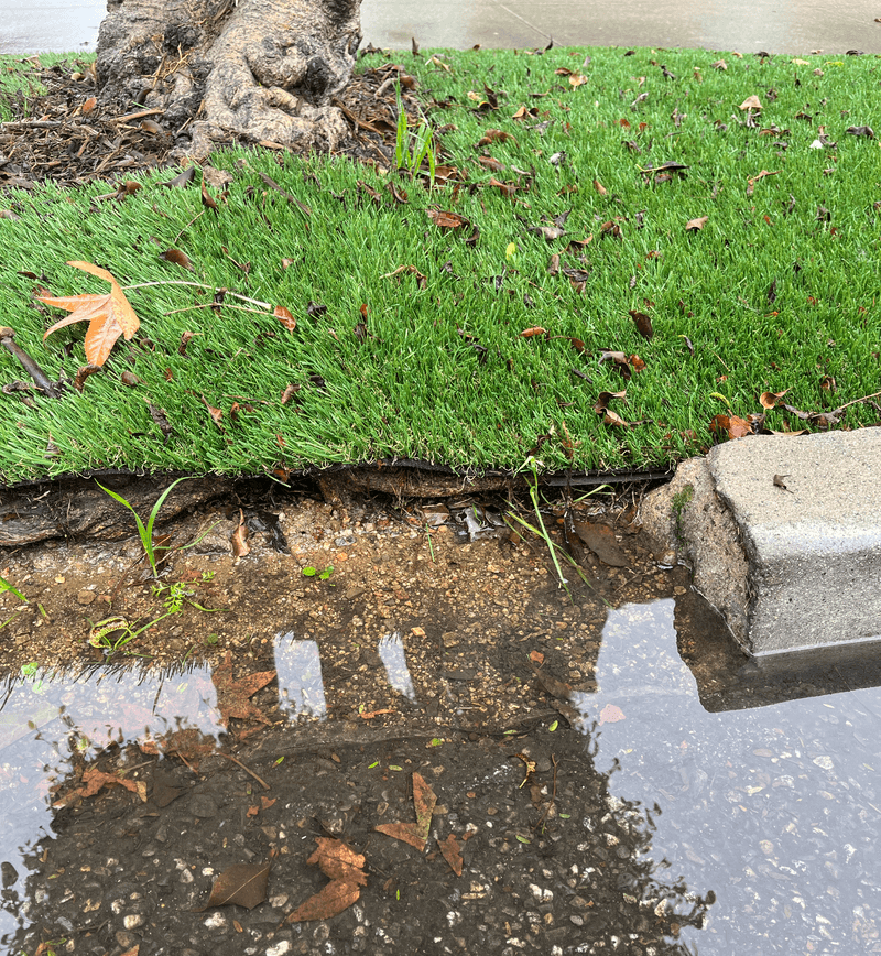 Disappointing: Cheap Artificial Turf