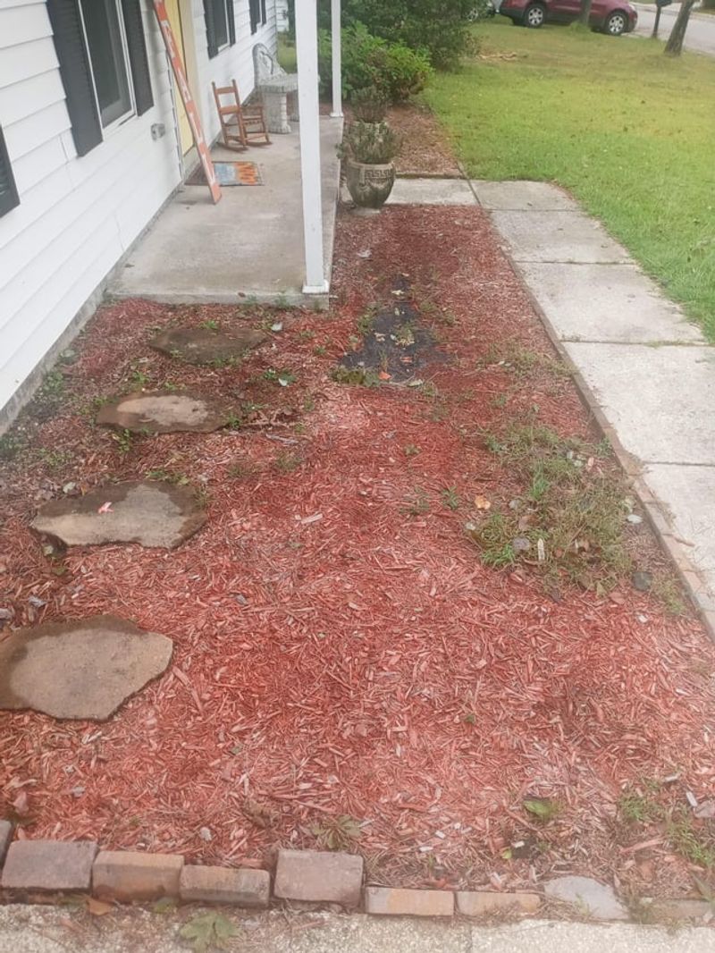 Disappointing: Mulch-Only Landscapes