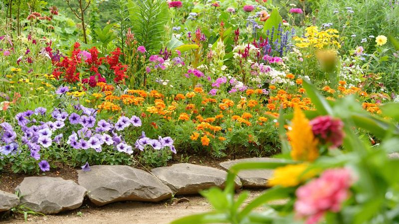 Self-Seeding Creates Garden Chaos