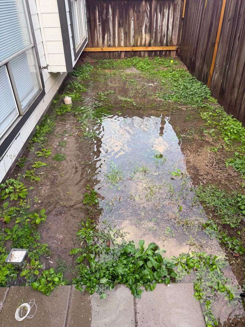 Improve Drainage System