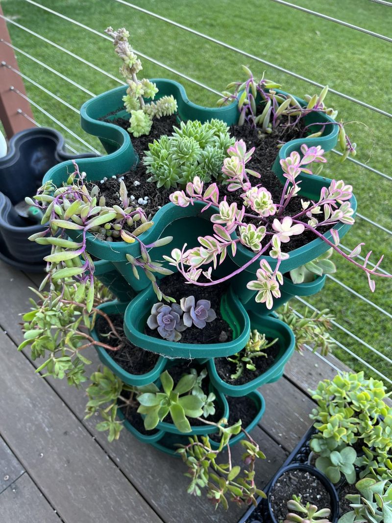 Vertical Growing Techniques