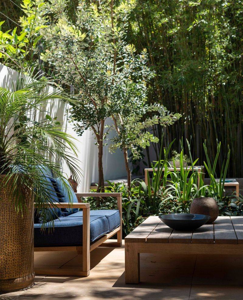 Sculptural Plant Selections