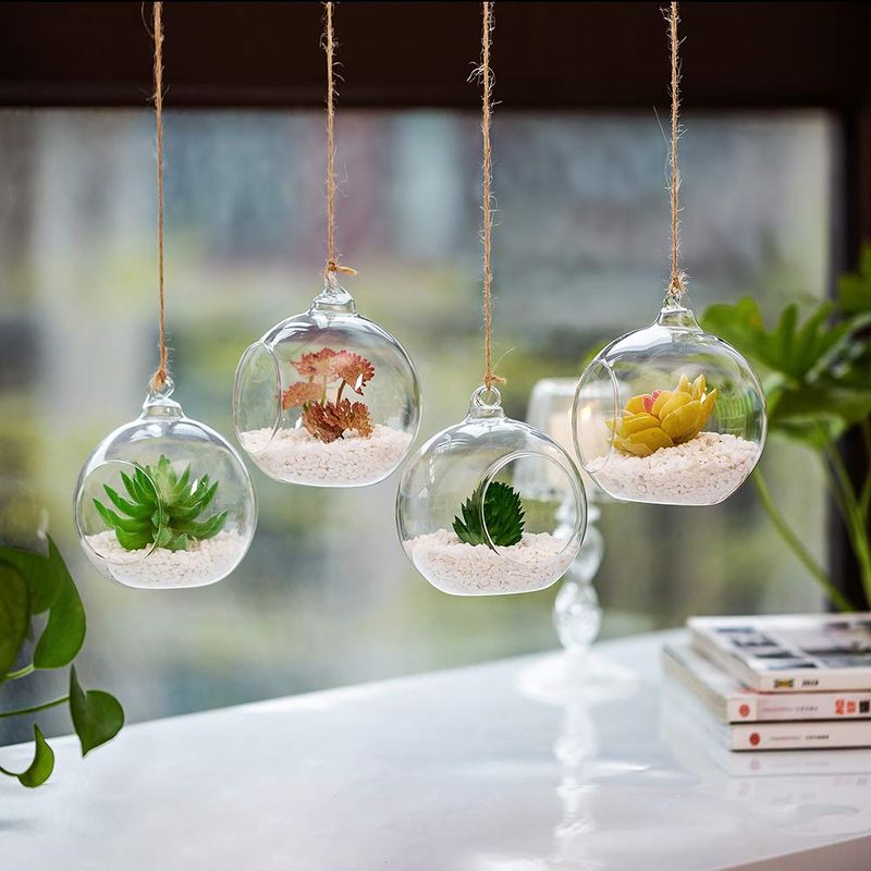 Hanging Globe Terrariums