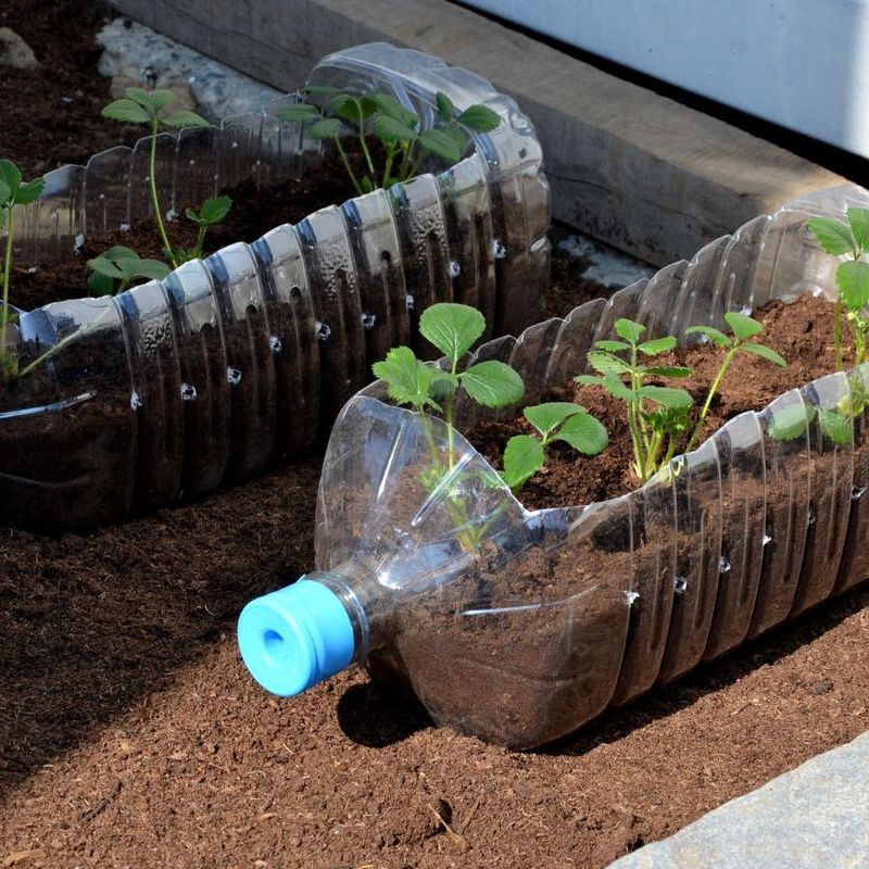 Companion Planting Pods