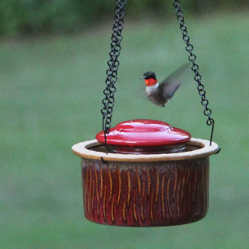 Hanging Dish Birdbaths