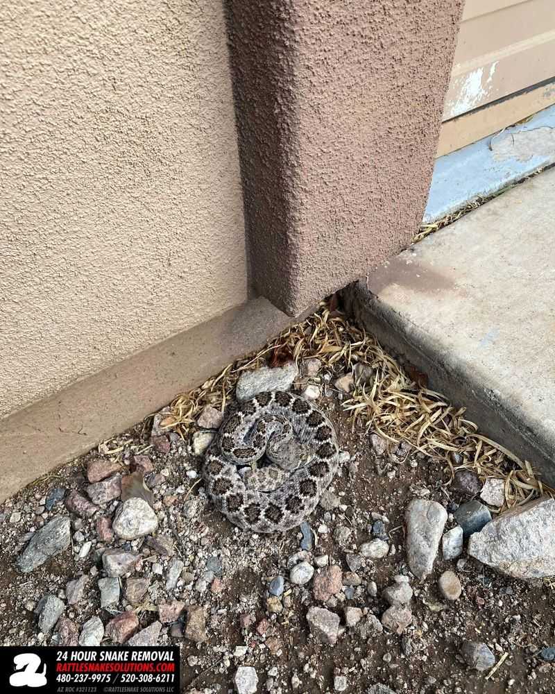 Unexplained Holes Under Structures