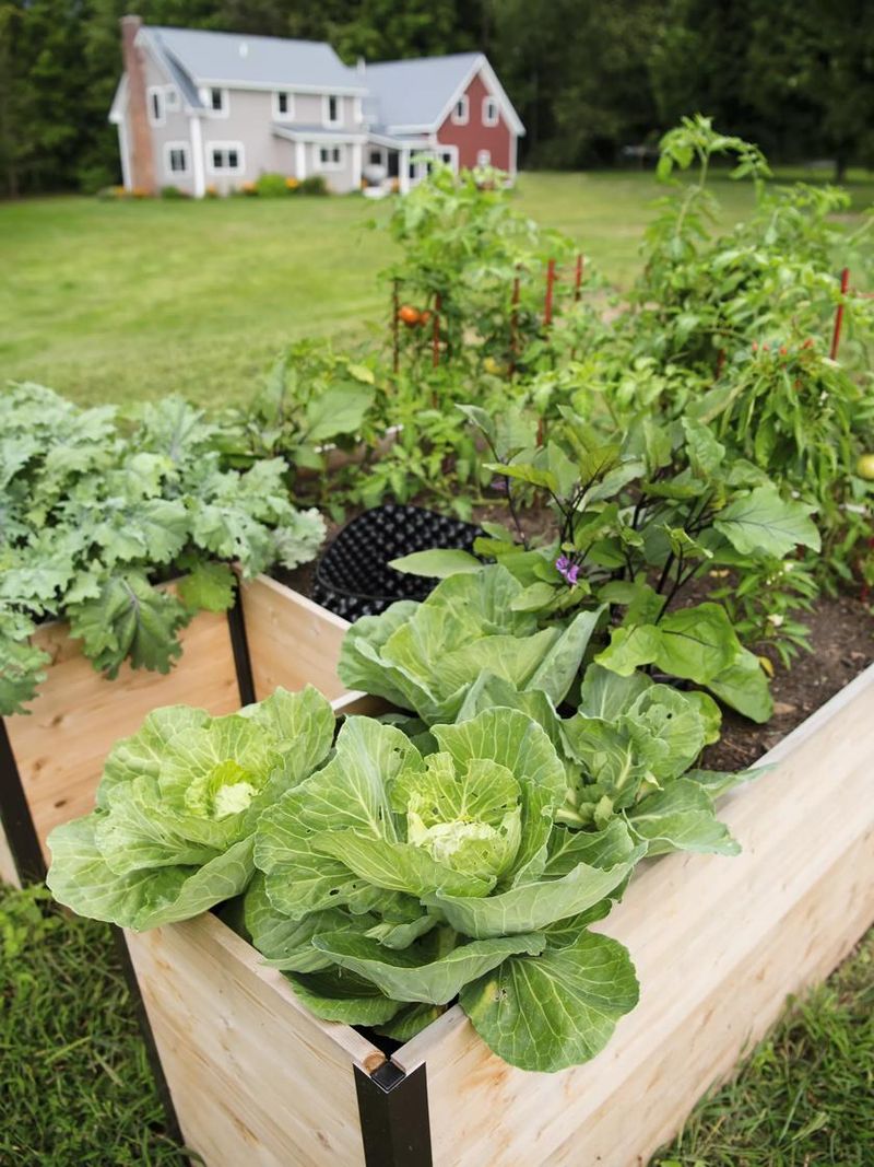 Soil Improvement Capabilities