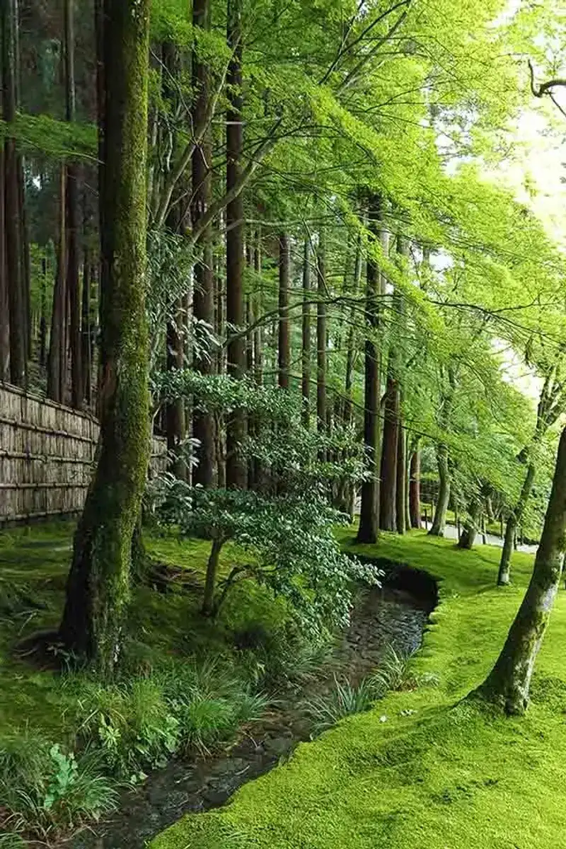Moss Cultivation (Koke)