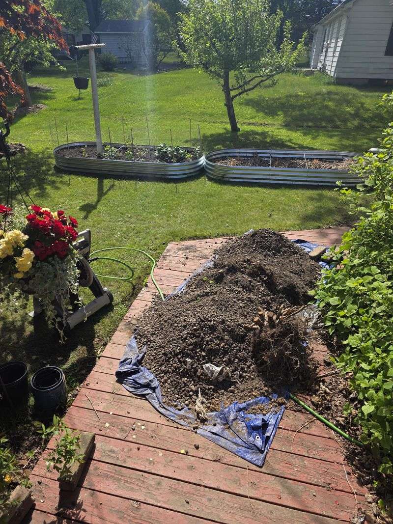 Weed-Filled Flower Beds