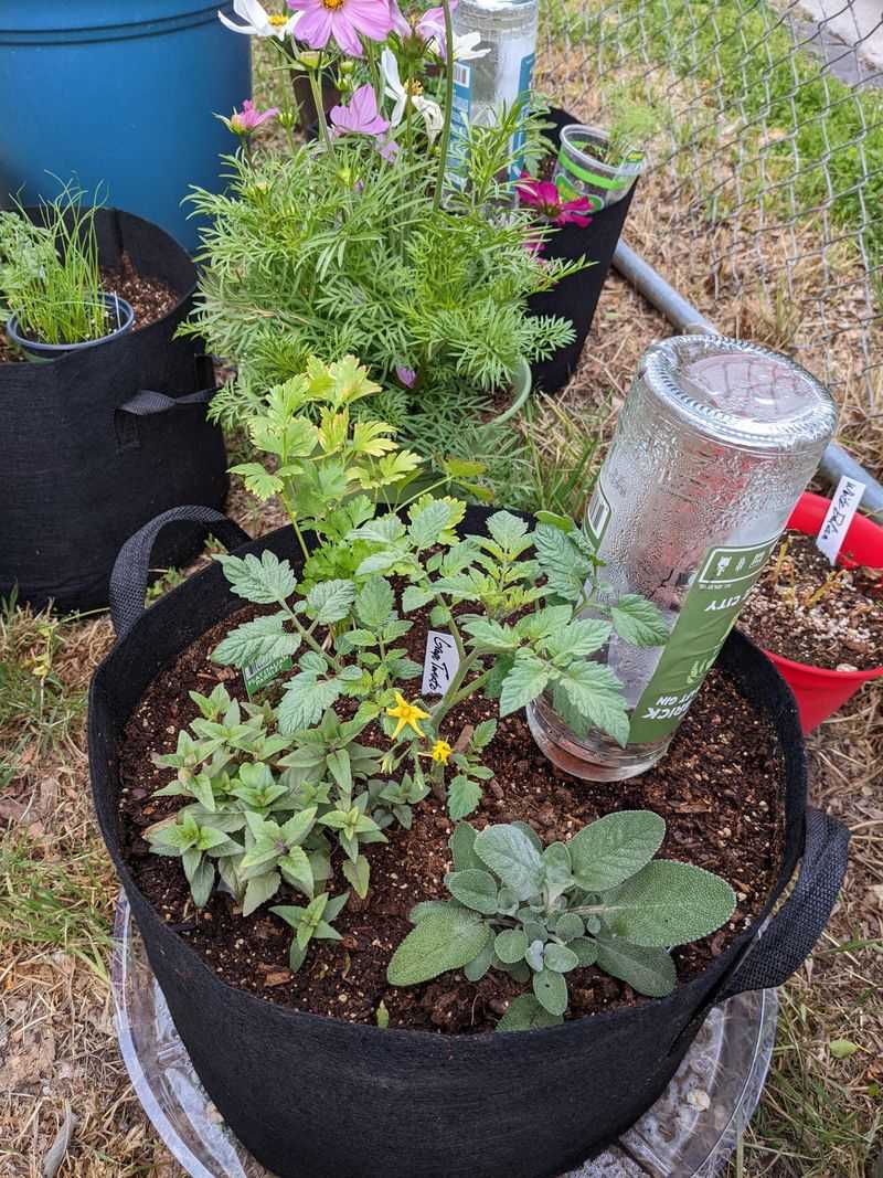 Impromptu Raised Beds Without Construction