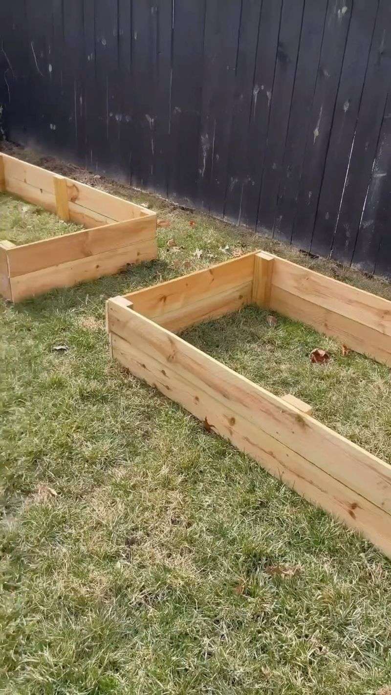 Budget-Friendly Gardening Hack