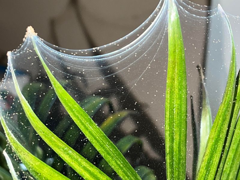 Fascinating Web Architecture