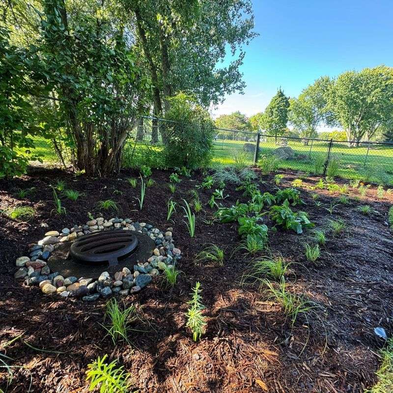 Effective: Rain Garden Installations