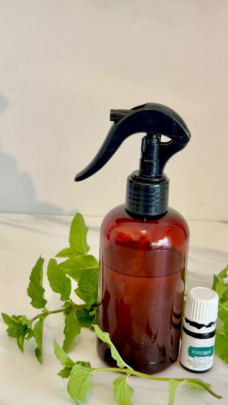 Peppermint Oil Deterrent