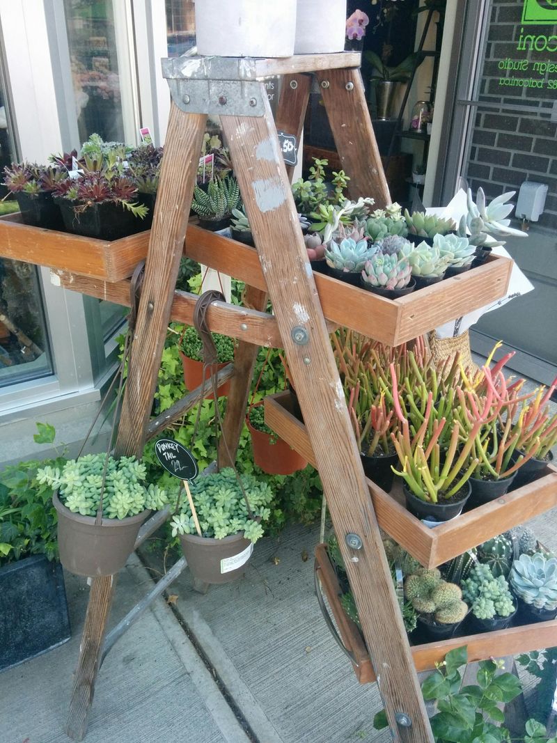 Ladder Display