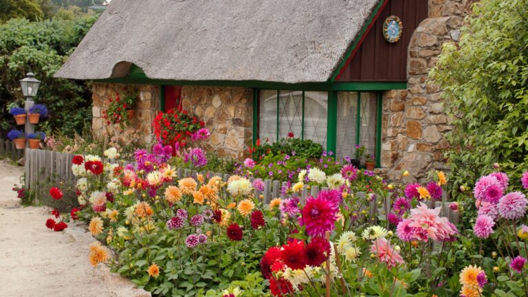 cottage garden