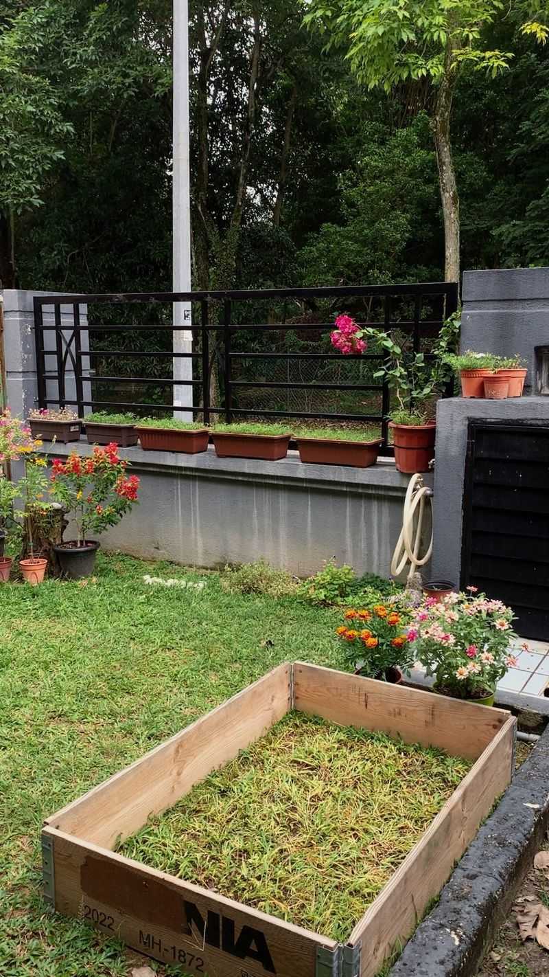 Try Lasagna Gardening