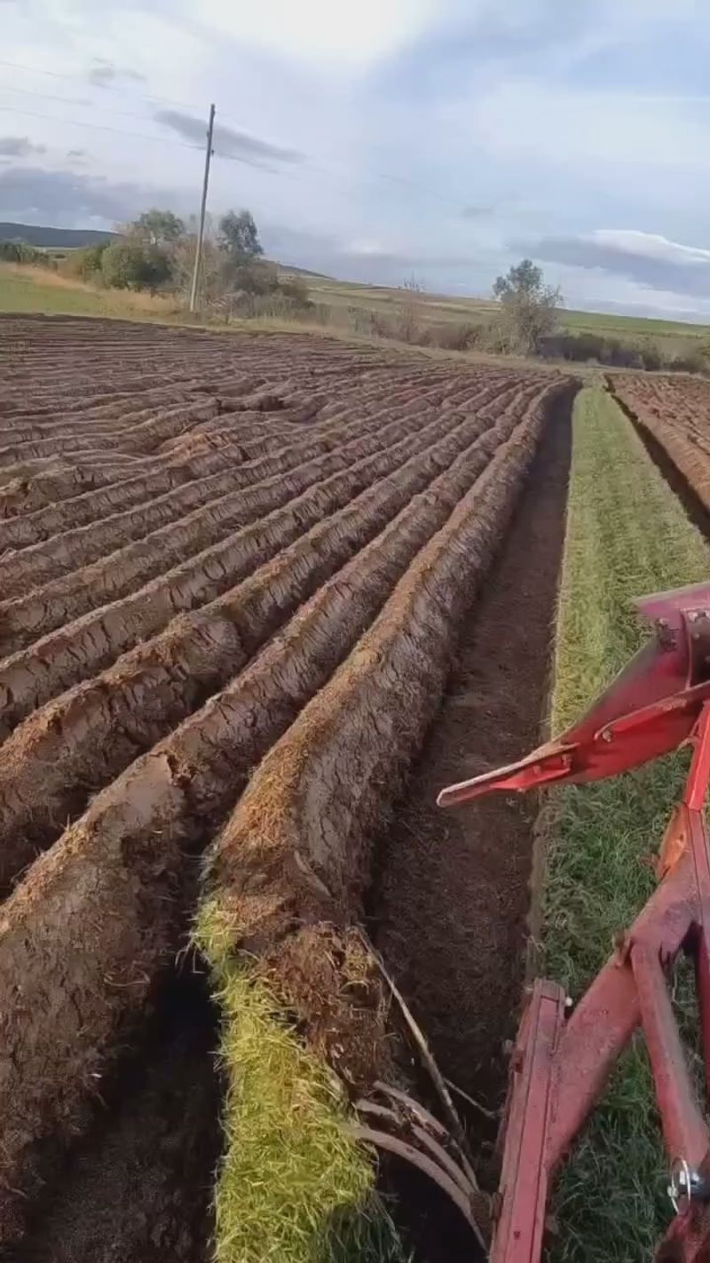 Fall soil tillage