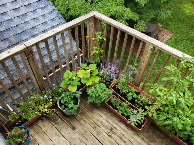 Saves Space in Small Gardens
